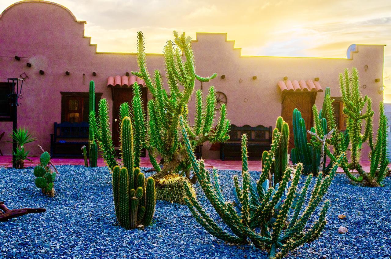 El Alamo Hotel Valle de Guadalupe Buitenkant foto